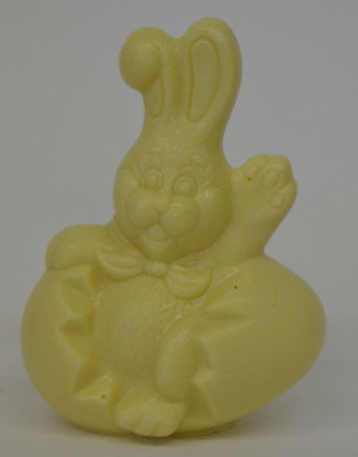 Picture of Waving Bunny in Egg