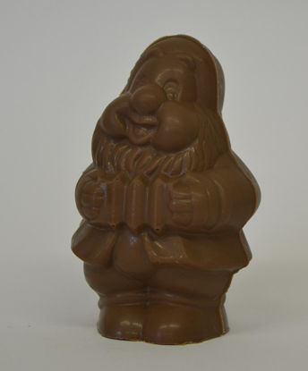 Picture of Gnome